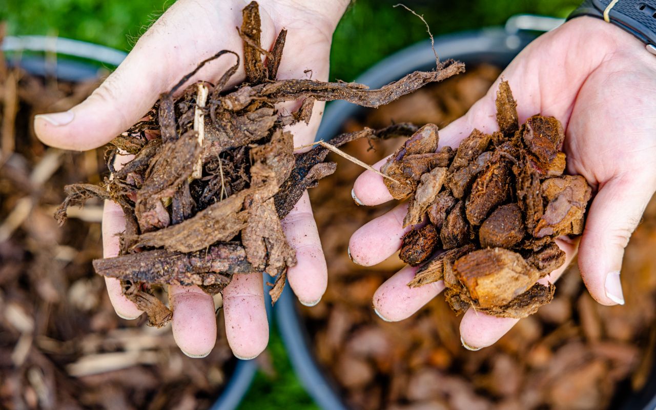Mulch