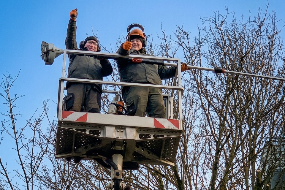 Firma Steinhake Osnabrück - Baumpflege mit Hubsteiger